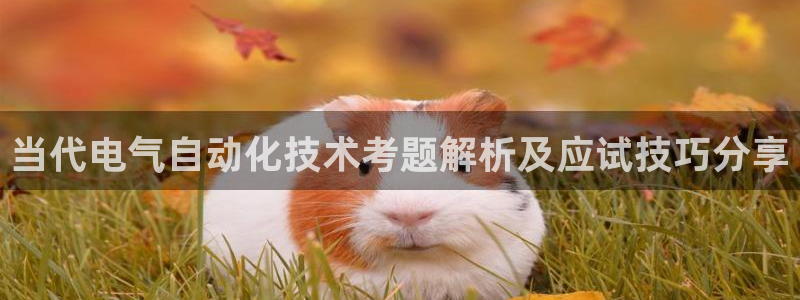 凯发线上app苹果版下载