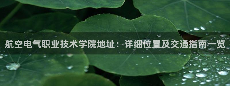 凯发k8旗舰店