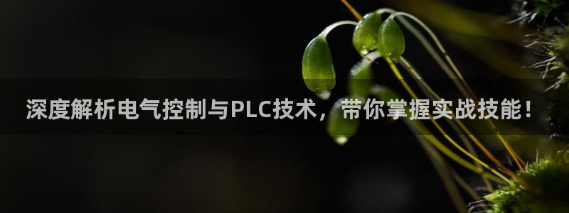凯发国际网络平台网址