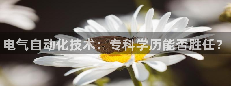 凯发官网入口首页