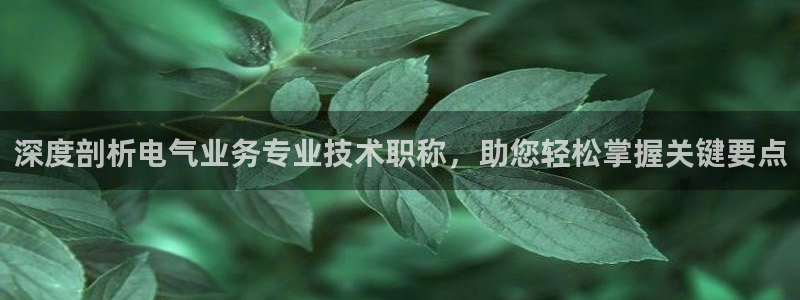 凯发网网站