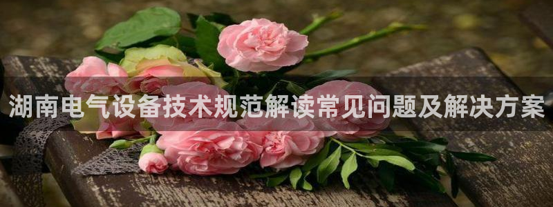 凯发官方在线
