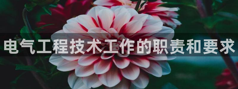 凯发官网网址多少