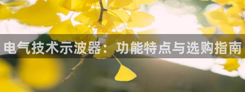 国际凯发k8真人版旗舰厅