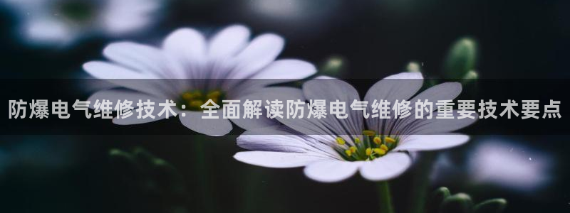 凯发k8娱乐欢迎您