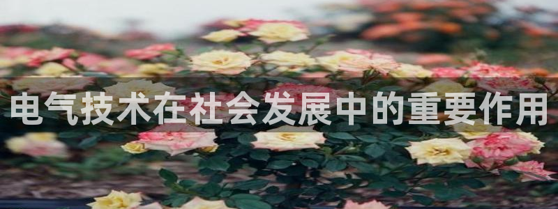 凯发k8娱乐是国内平台?