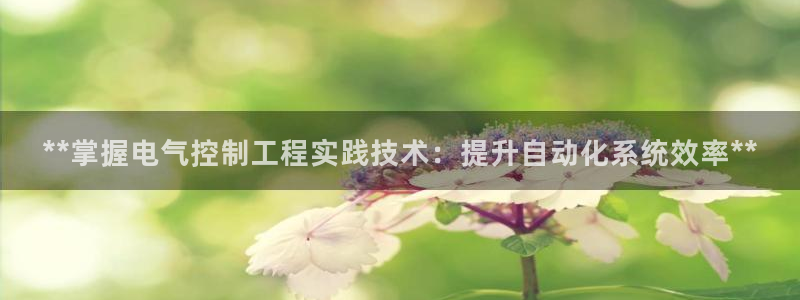 凯发官网手机app