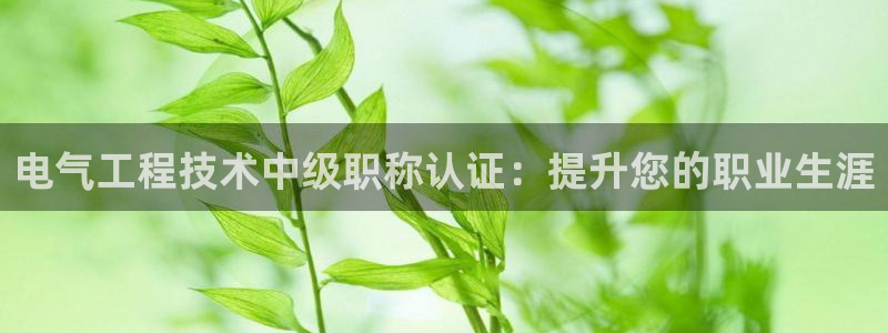 凯发国际平台首页