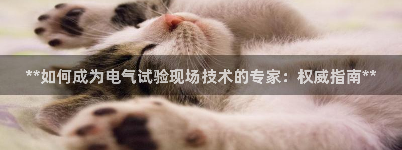 凯发就来凯发天生赢家一触即发