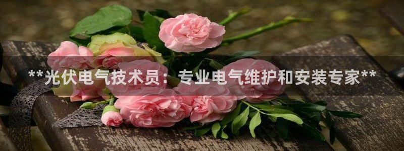 凯发官网|认准kpm