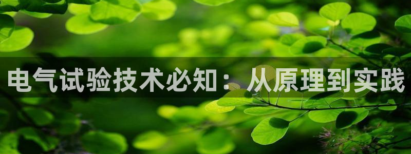 凯发k81111国际真人版