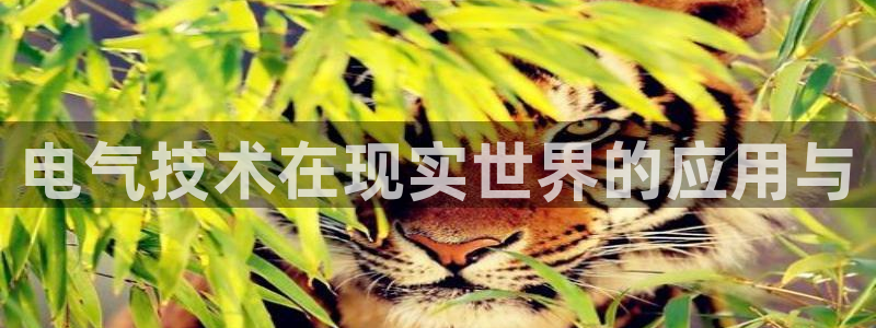 凯发国际官网下载