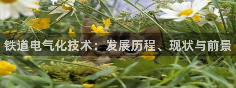 凯发网网站