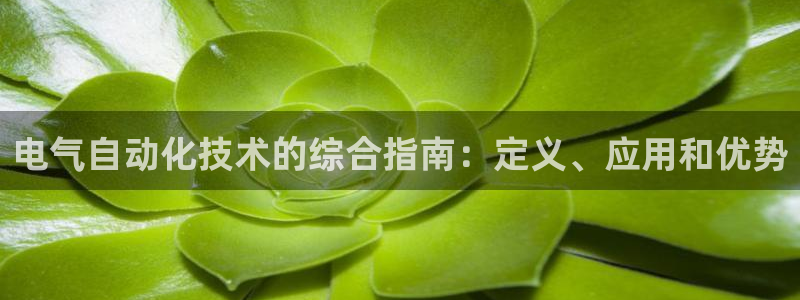 凯发k8娱乐平台