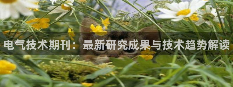 凯发国际网站