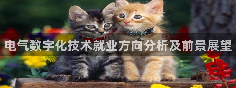 凯发平台医7O777