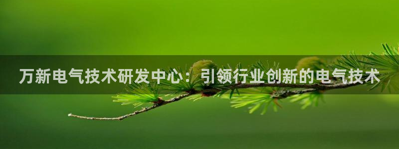 凯发k8网站是多少