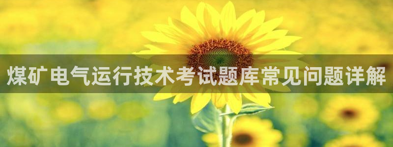 凯发k8手机是正品吗知乎：煤矿电气运行技术考试题库