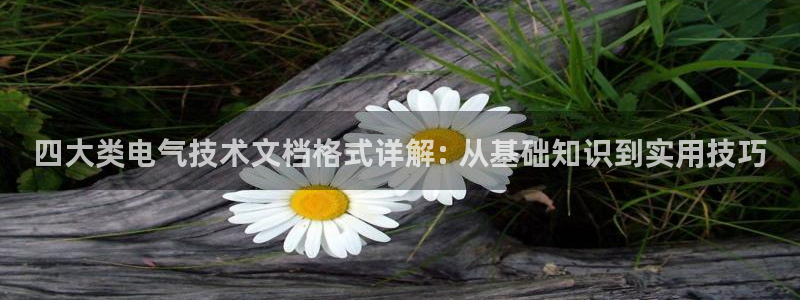 k8凯发官方找就送38：四大类电气技术文档格式详解