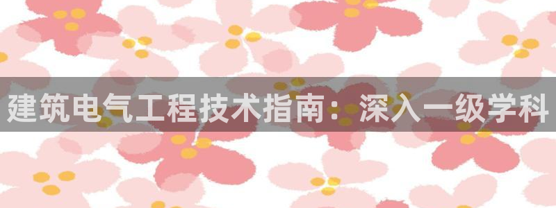 凯发k8ag旗舰厅网址：建筑电气工程技术指南：深入
