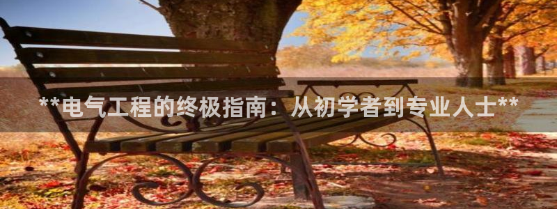 凯发线上客户端免费下载：**电气工程的终极指南：从