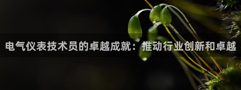 凯发注册app在线：电气仪表技术员的卓越成就：推动
